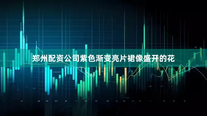 郑州配资公司紫色渐变亮片裙像盛开的花