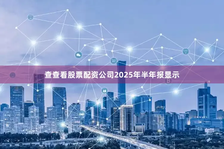 查查看股票配资公司2025年半年报显示